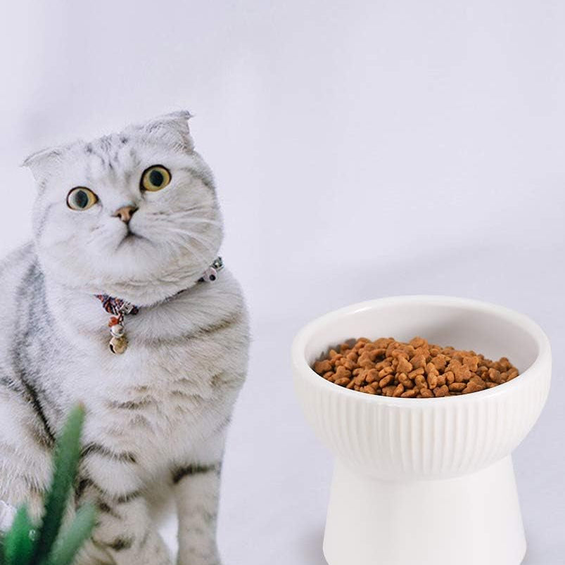 White Ceramic Raised Cat Bowls, Elevated Food or Water Bowls, Stress Free, Backflow Prevention, Dishwasher and Microwave Safe, Lead & Cadmium Free