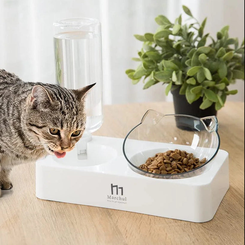Tilted Raised Cat Food Bowl and Gravity Water Bottle with Feeding Mat