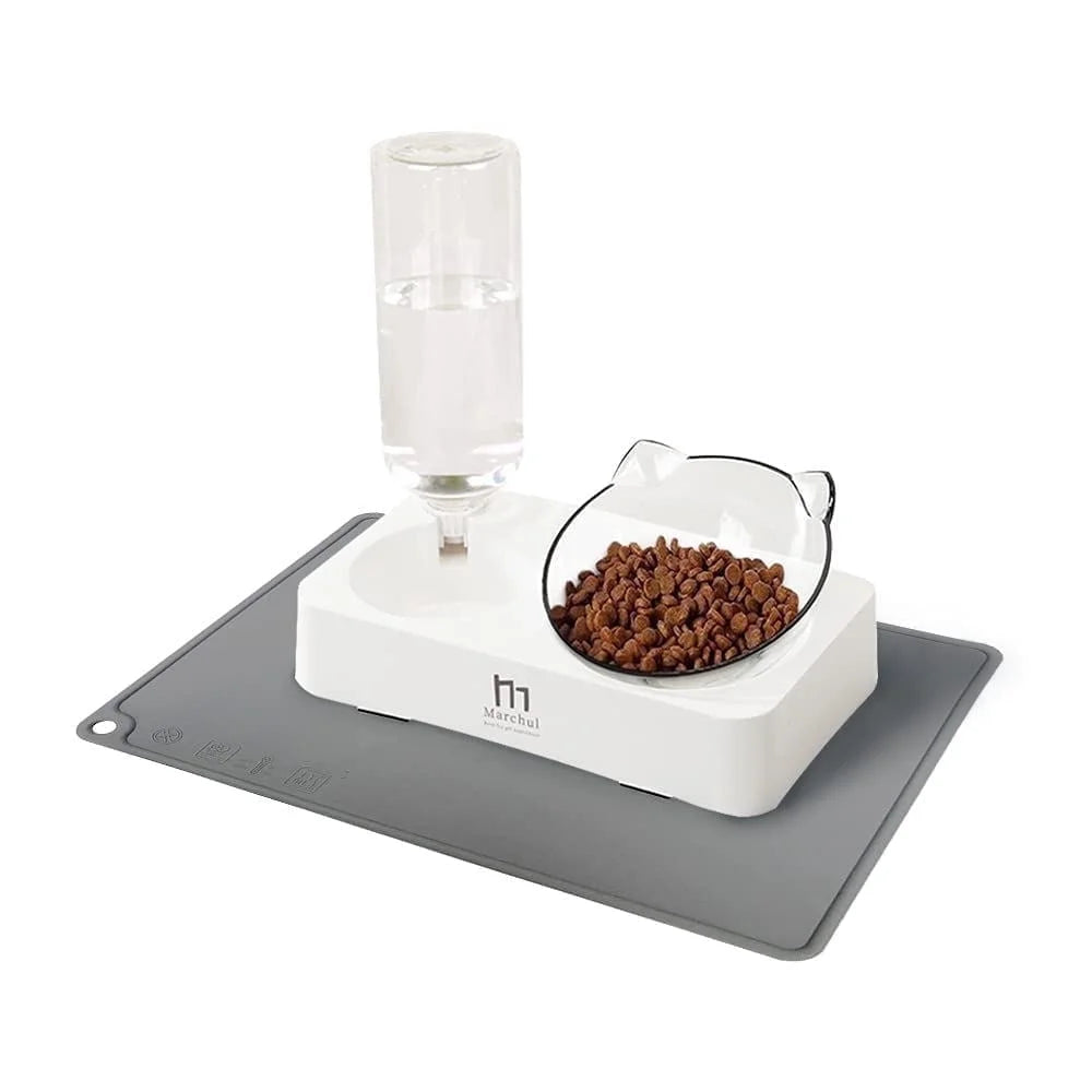 Tilted Raised Cat Food Bowl and Gravity Water Bottle with Feeding Mat